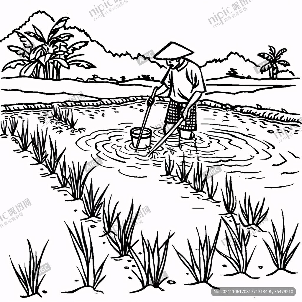 插秧高清手绘
