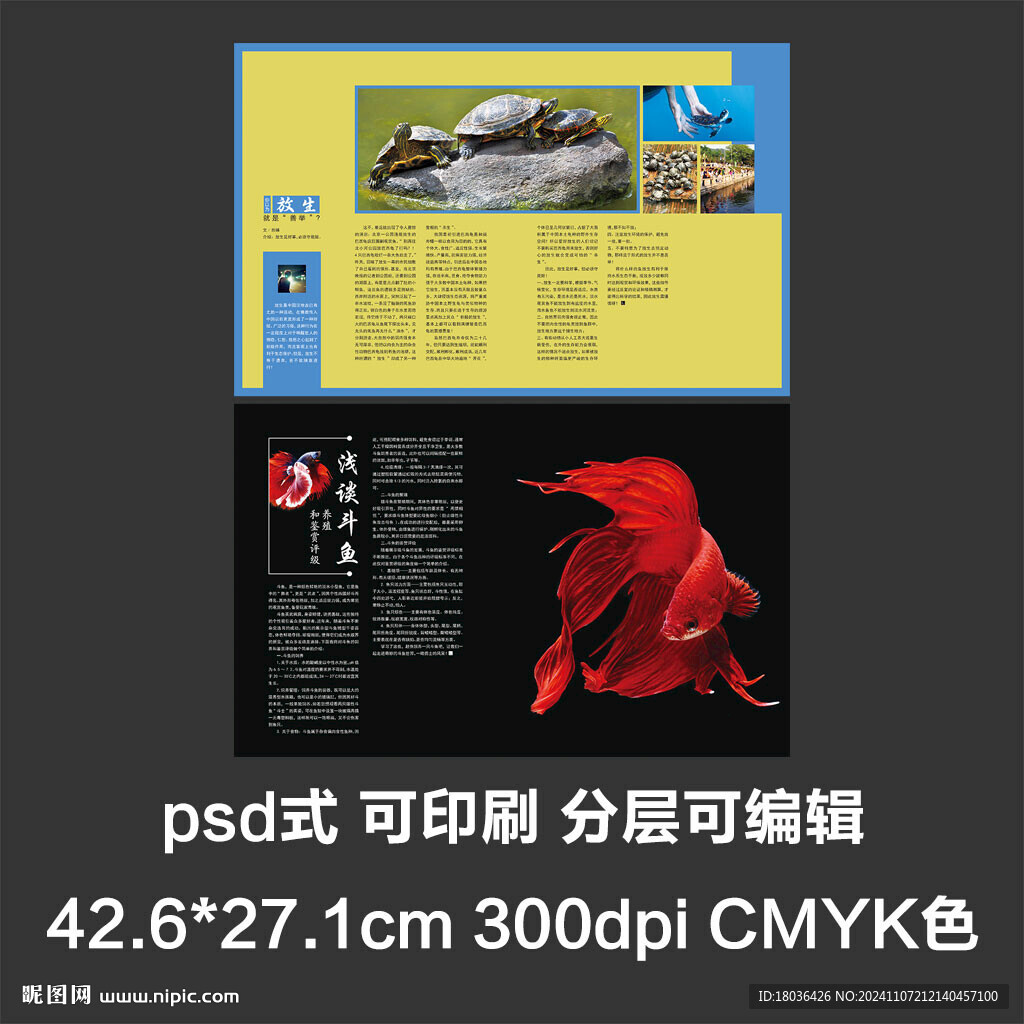 画册型录产品简介宣传册排版设计