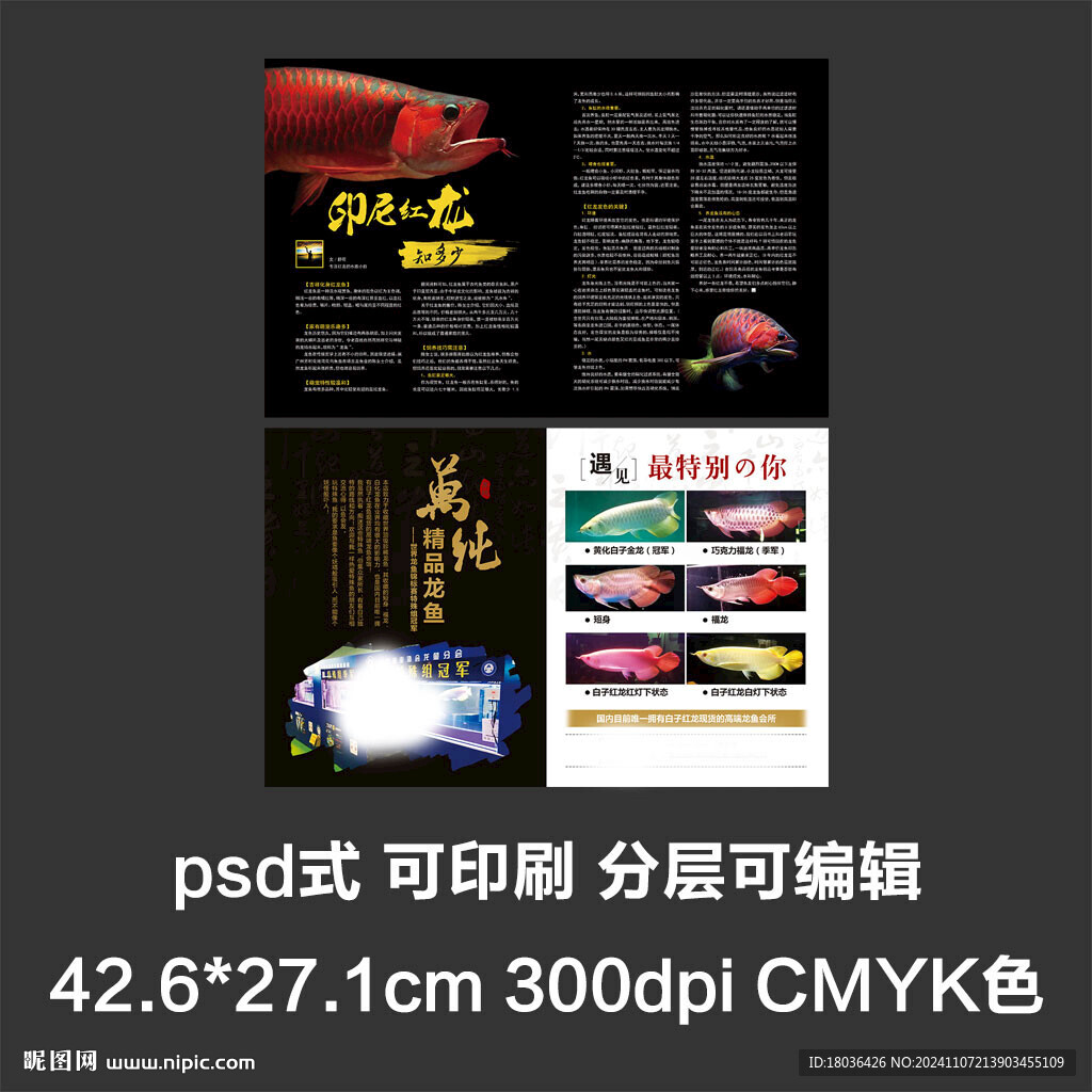 画册型录产品简介宣传册排版设计