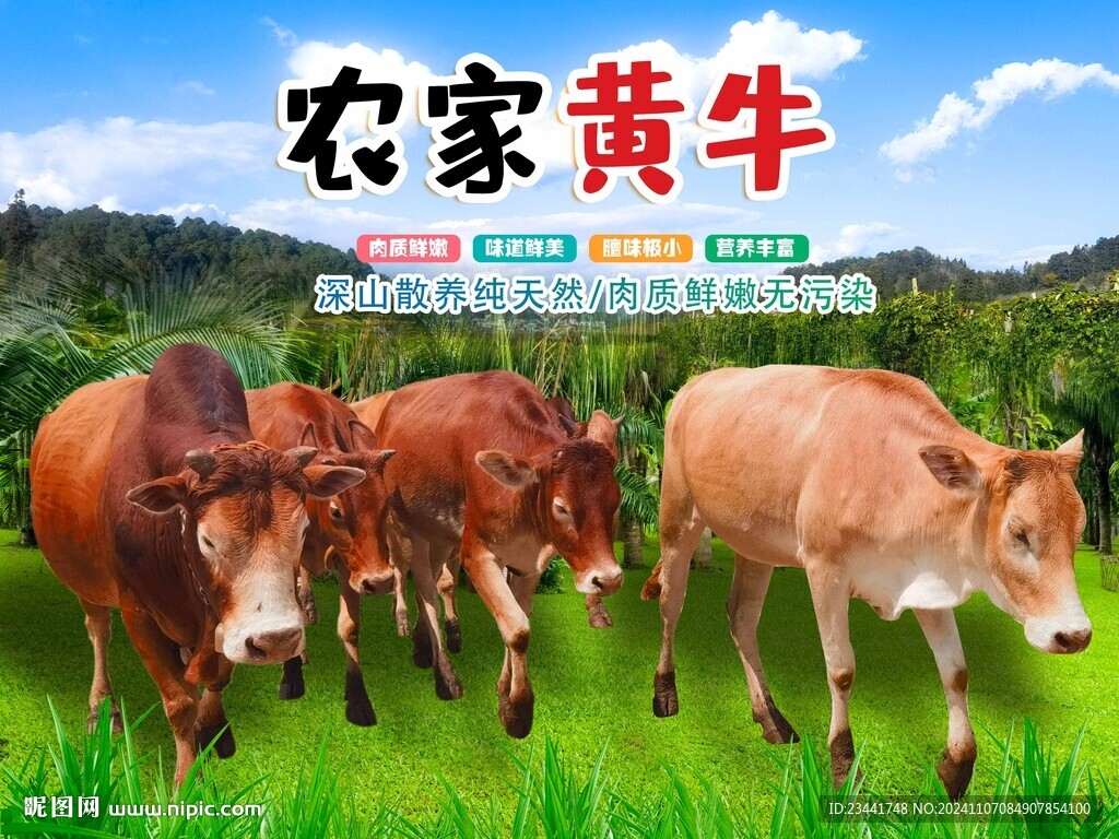 黄牛海报
