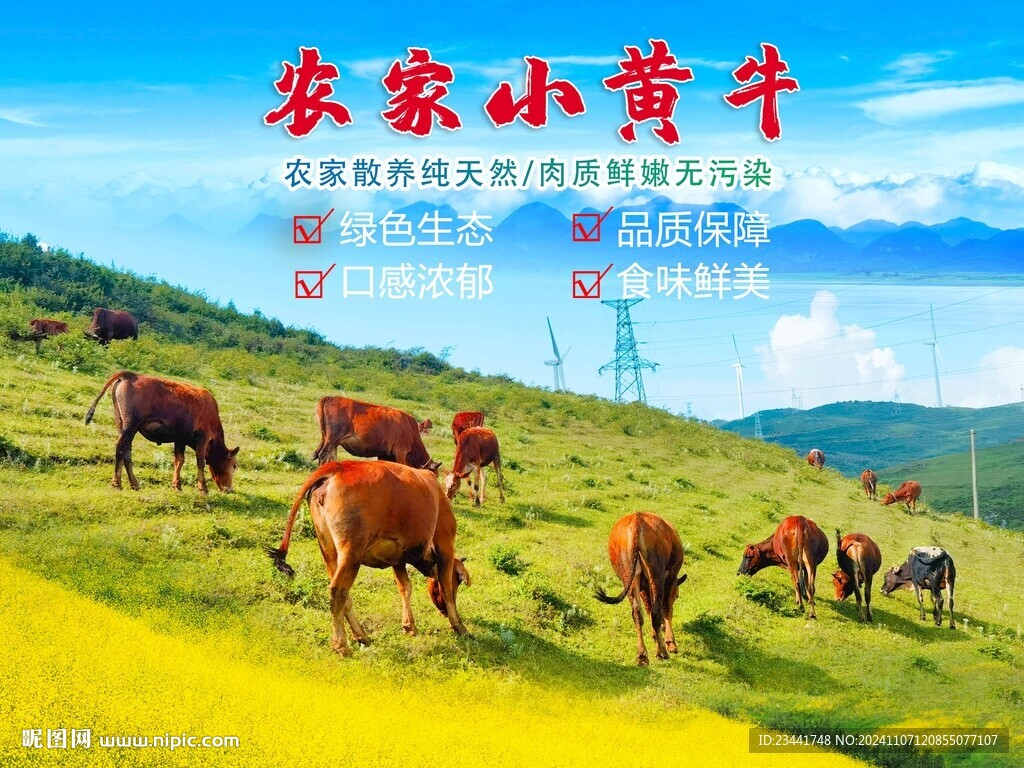 黄牛海报