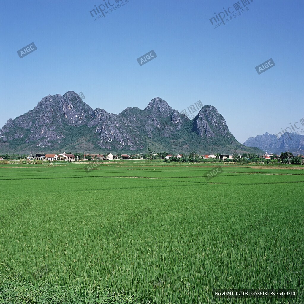 农田远山风光