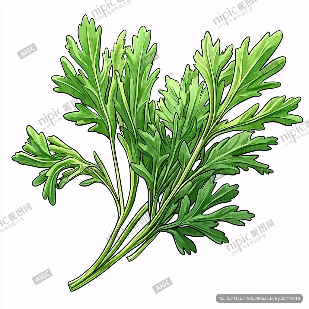 手绘荠菜