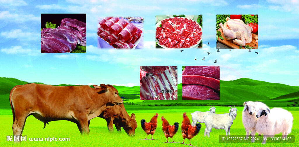 牛羊肉海报