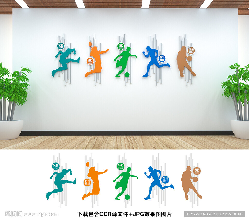 体育文化