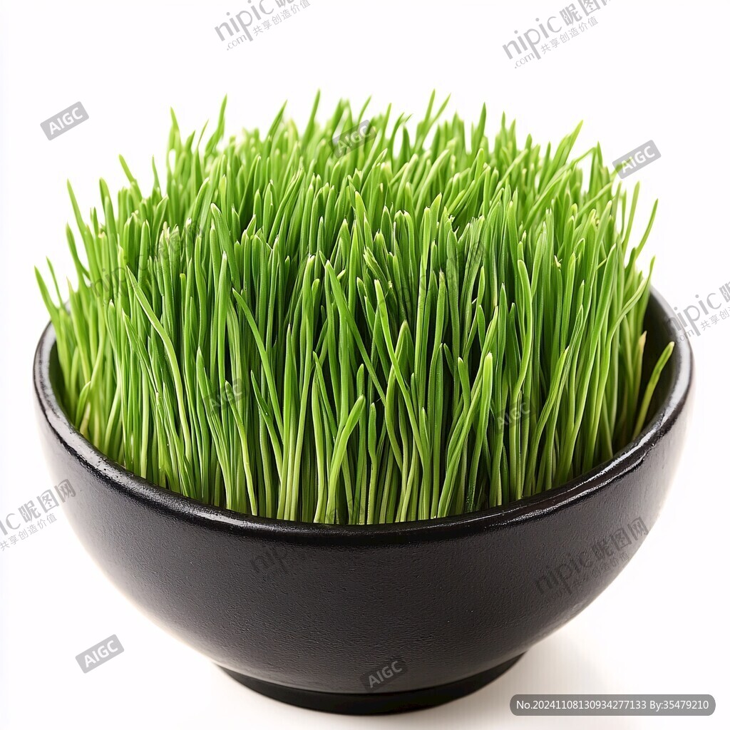 麦芒麦苗