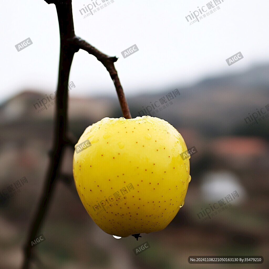 早春第一果