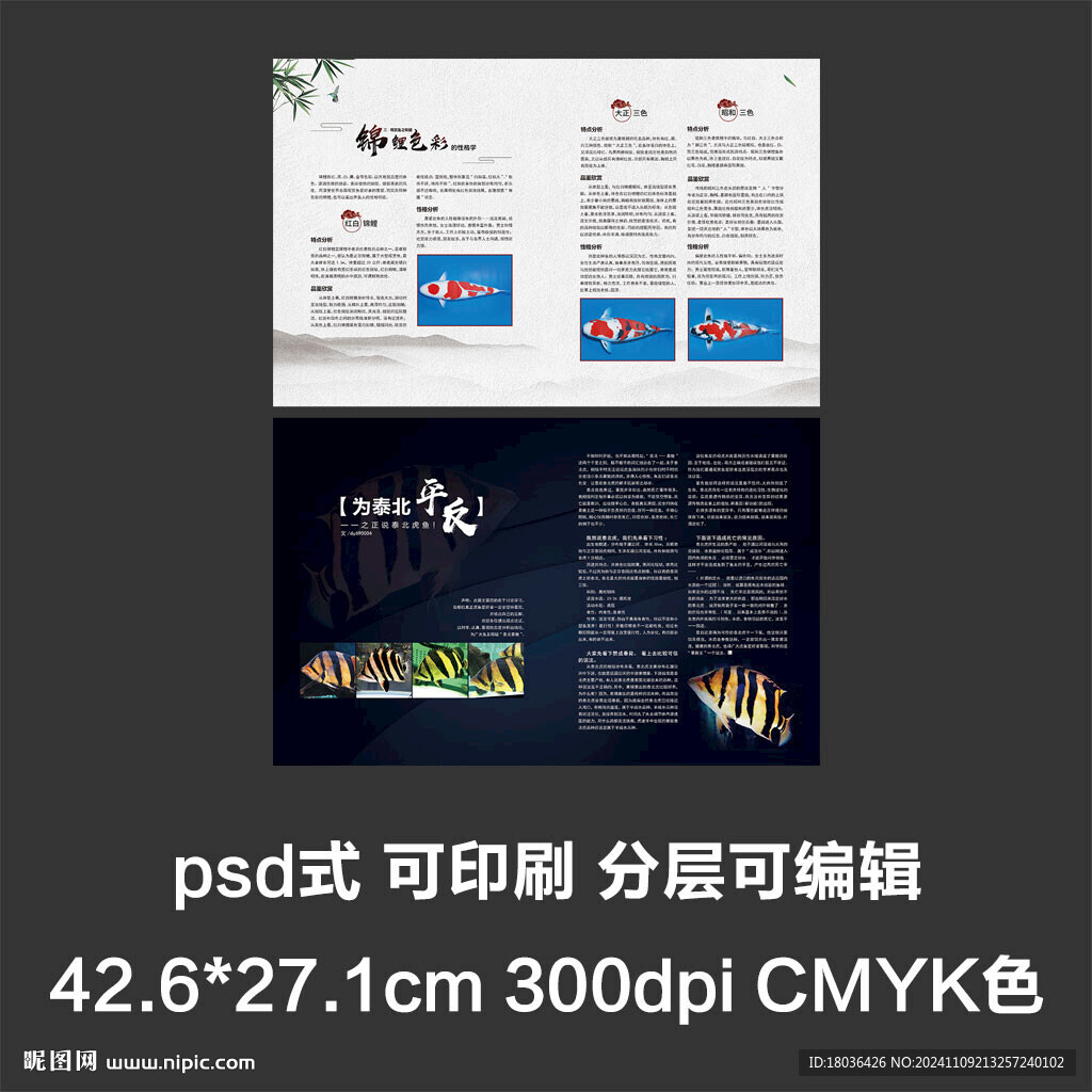 画册型录产品简介宣传册排版设计