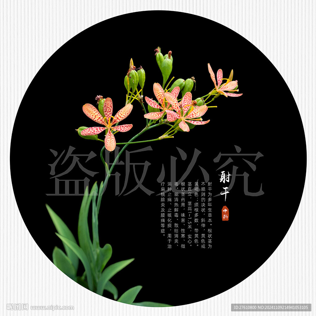 射干