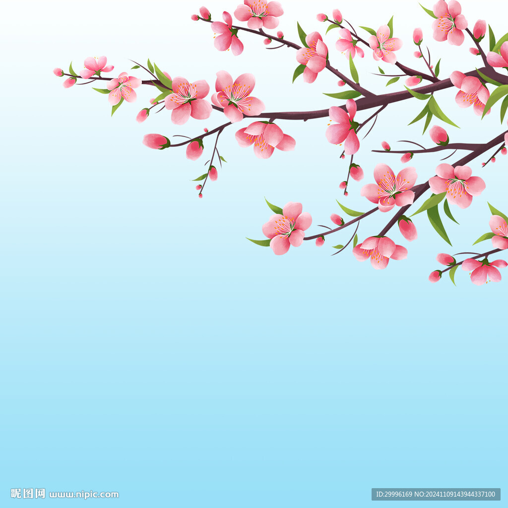 桃花