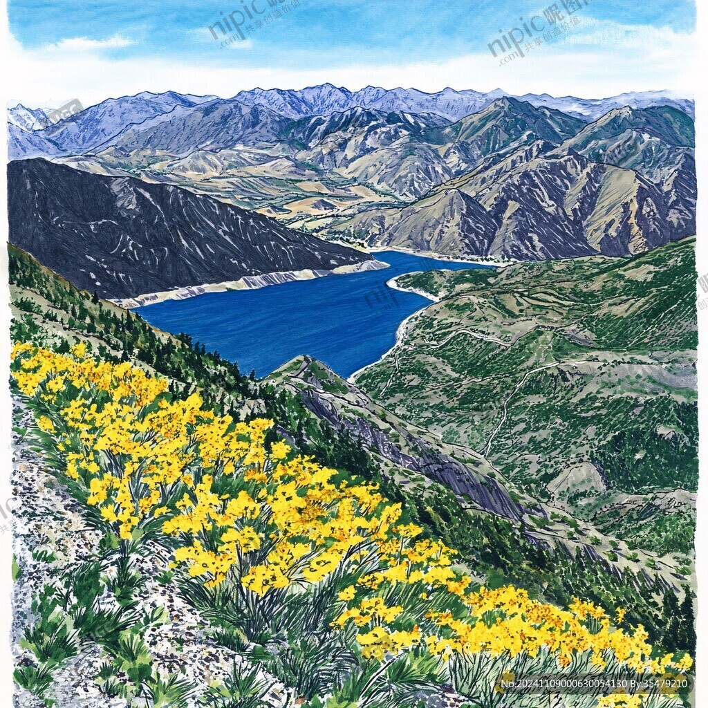 新西兰插画手绘彩绘