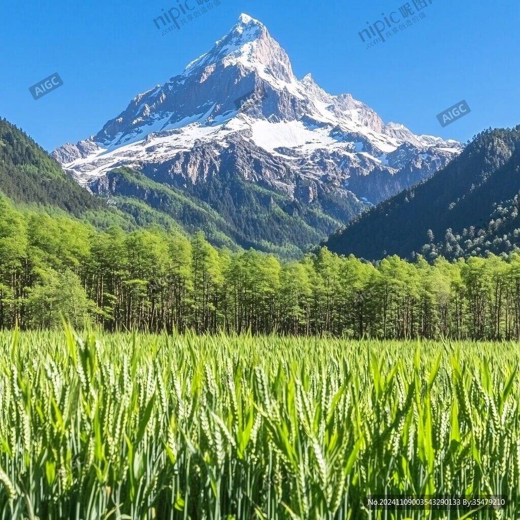 麦田高山雪山