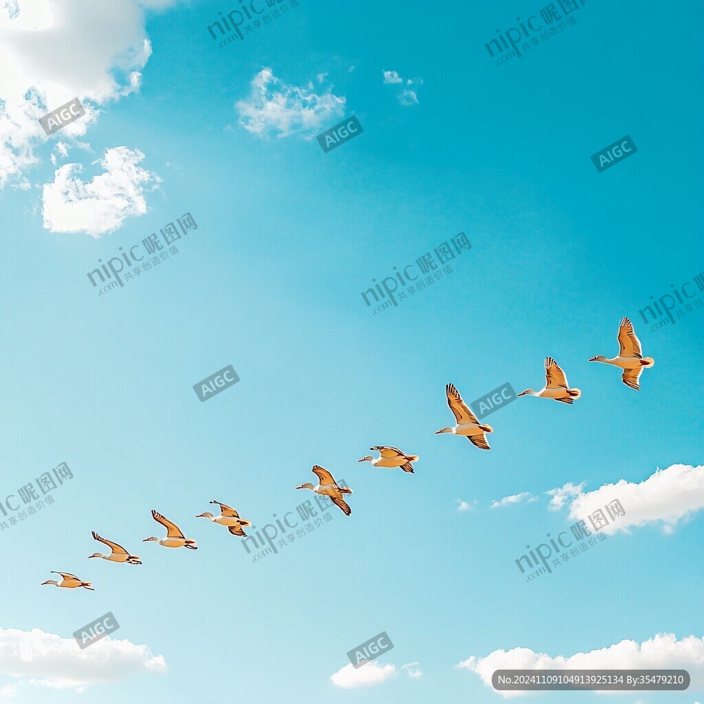 蓝天下的大雁