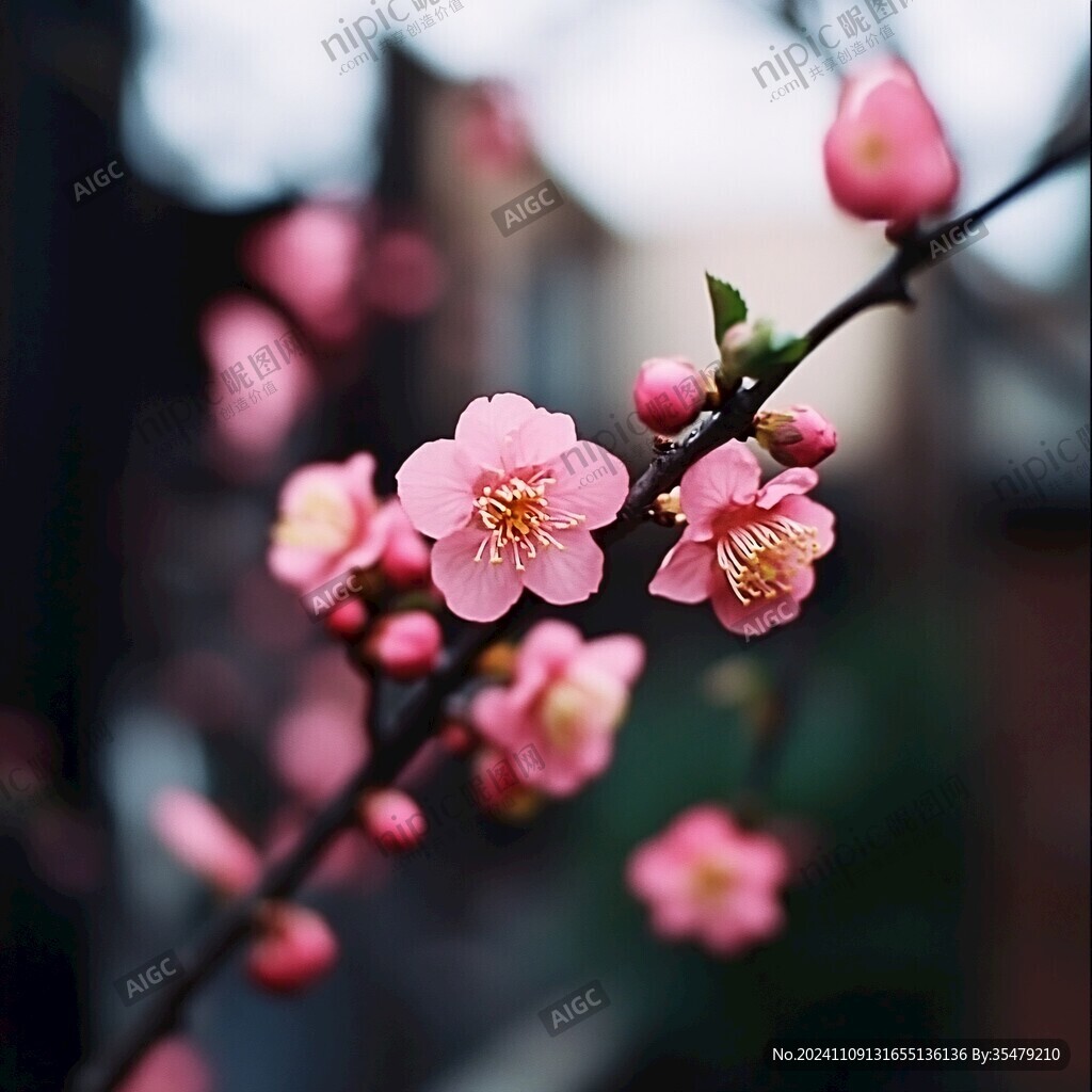 春到小区