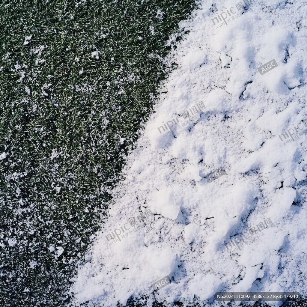 被雪覆盖的绿草皮