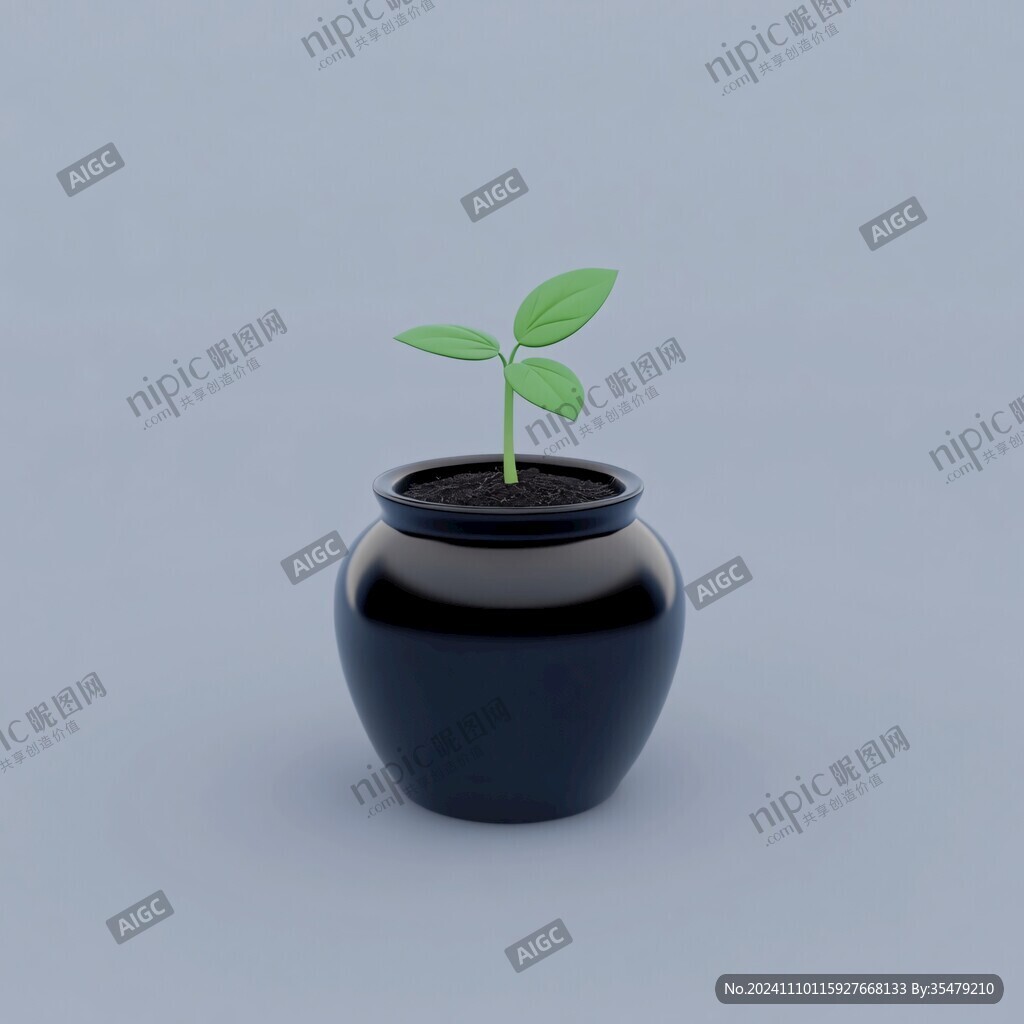 禅意小盆栽