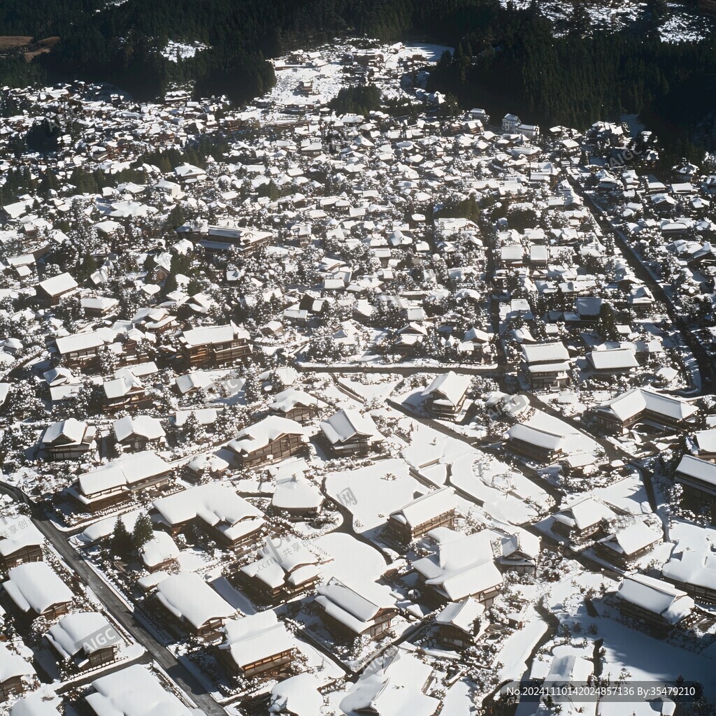 俯拍雪村