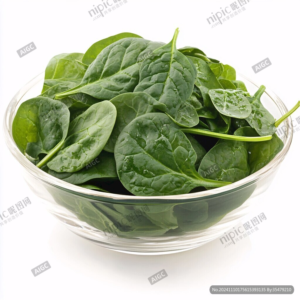 菠菜图片素材