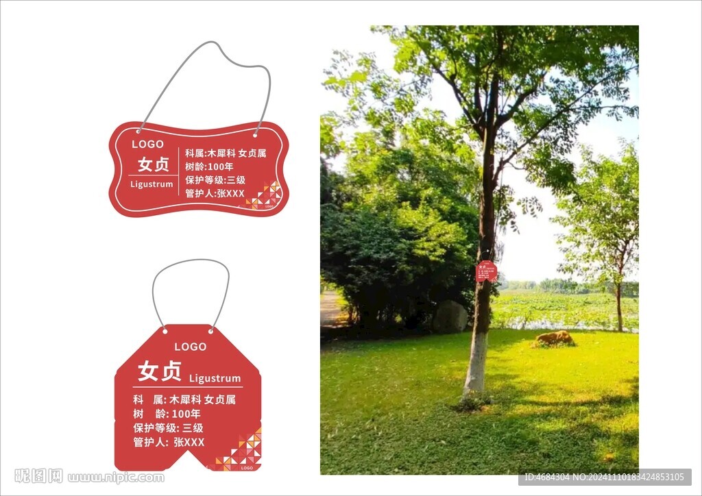 树名牌