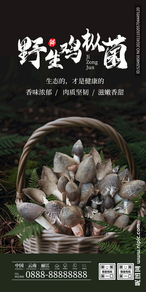 鸡枞菌