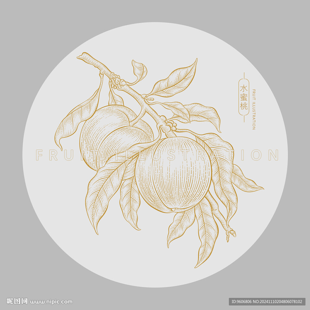 桃子插画