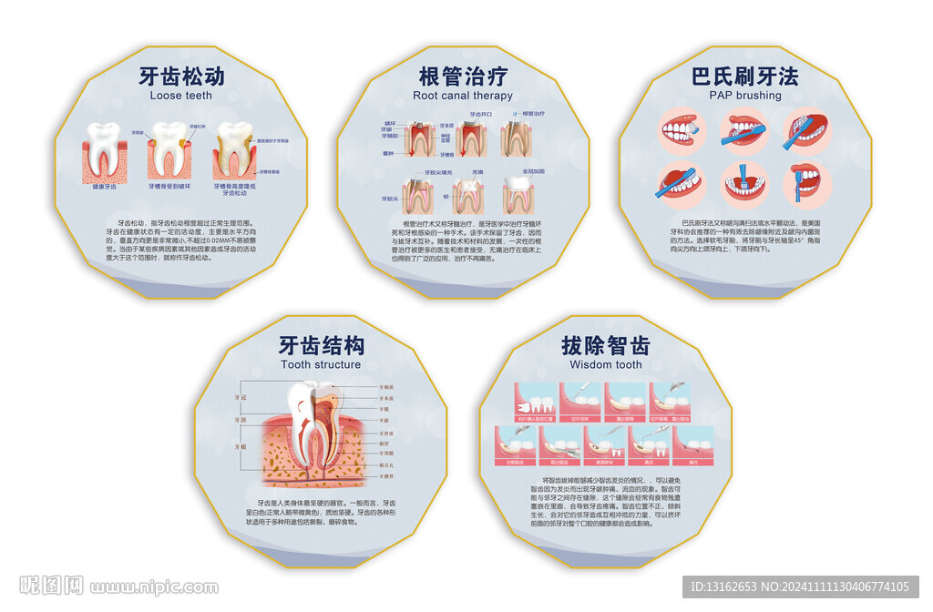 牙科挂图