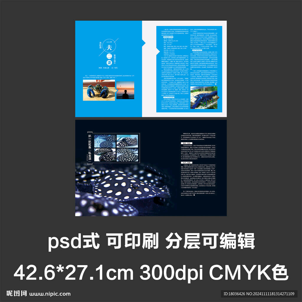 画册型录产品简介宣传册排版设计