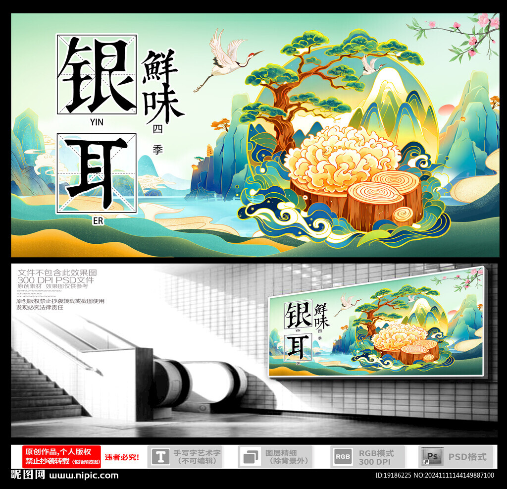 银耳