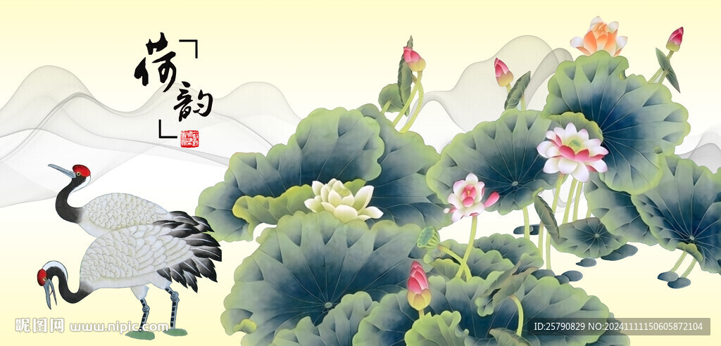 荷花