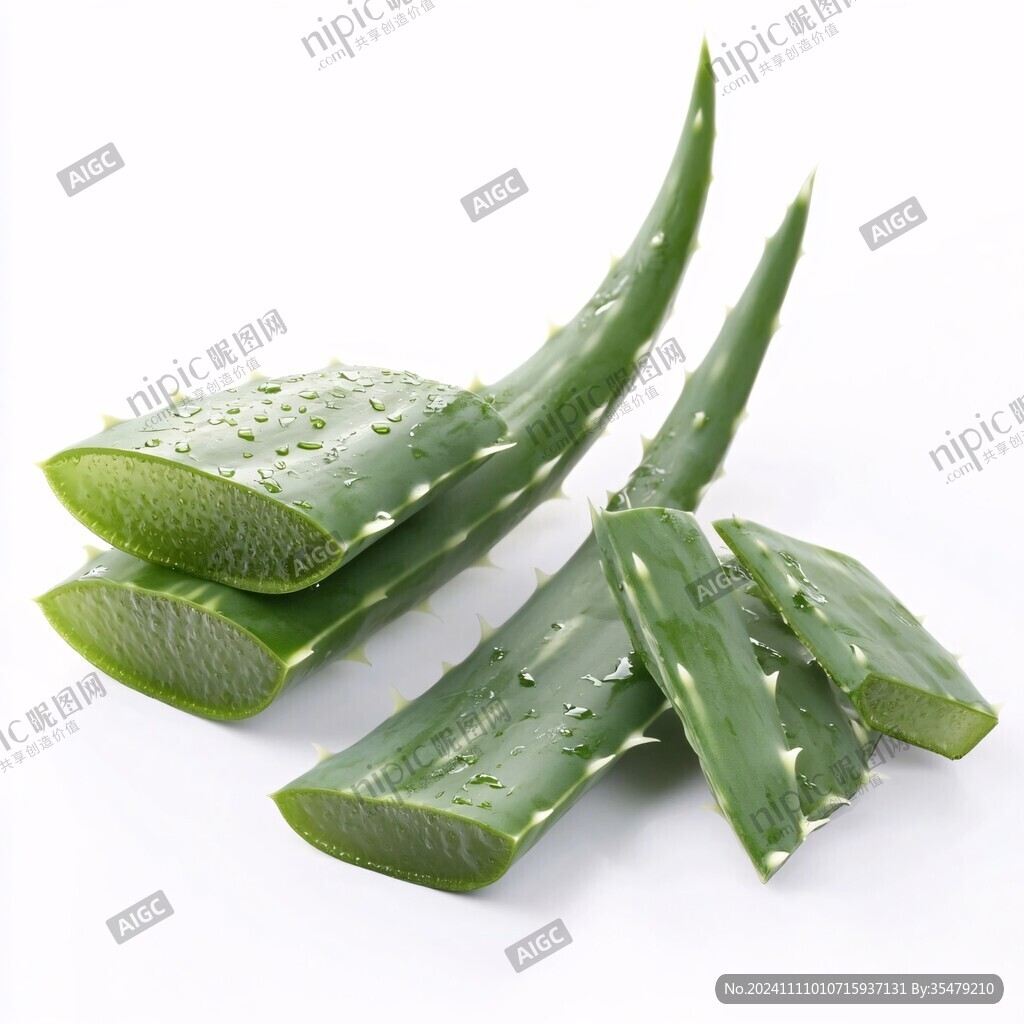 芦荟鲜叶片素材