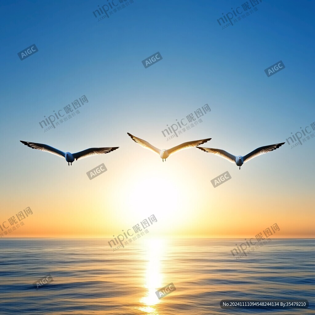 日出与海鸥