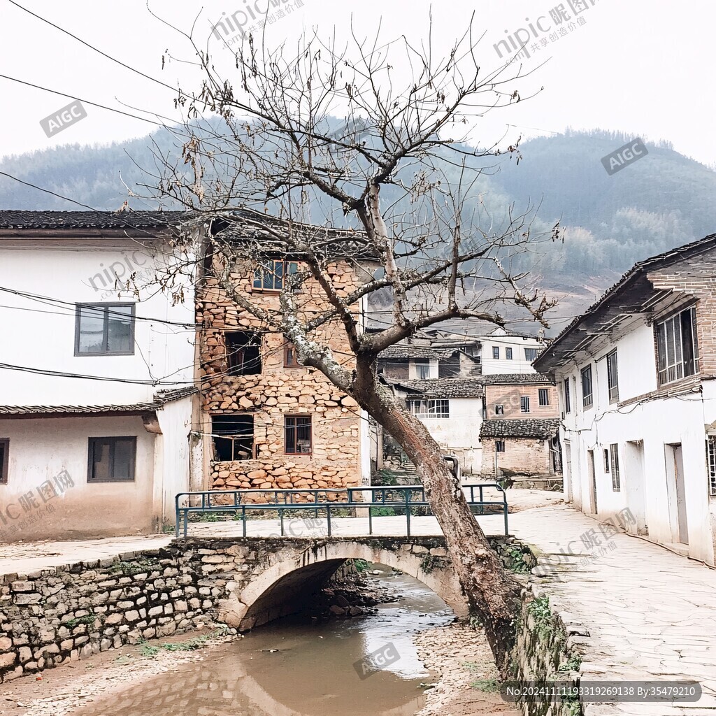 村口古树