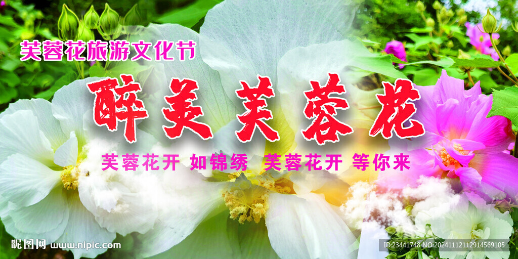 芙蓉花