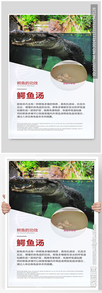 美食汤类鳄鱼汤