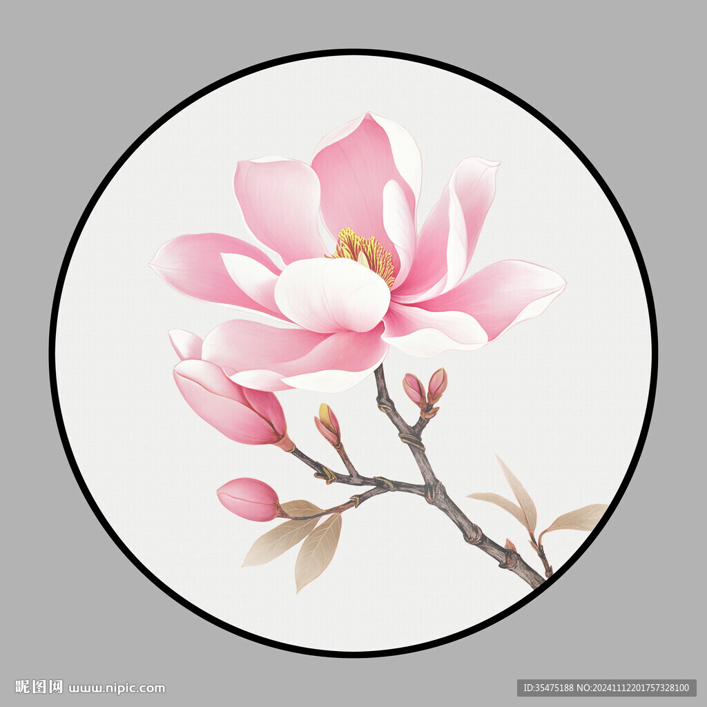手绘玉兰花