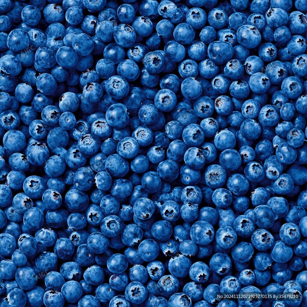 蓝莓纹理