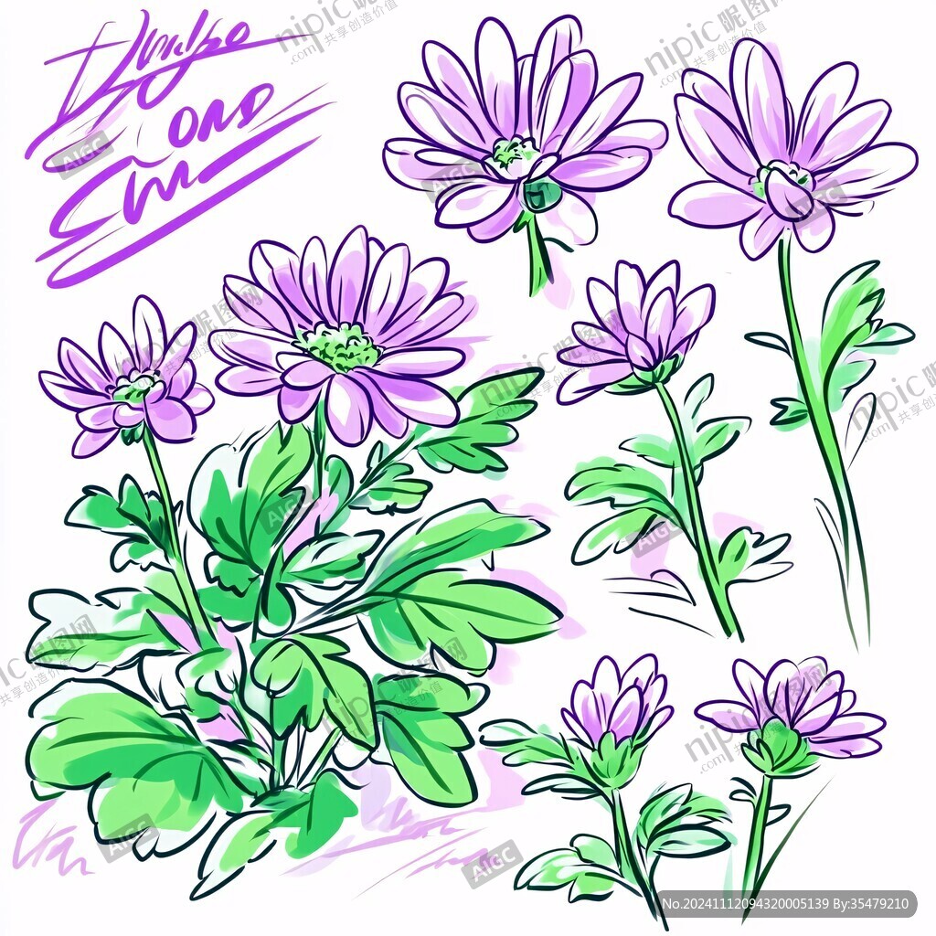 手绘紫菀