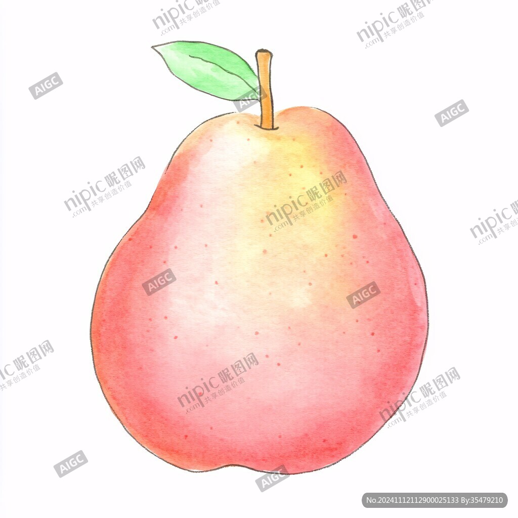 手绘红香梨