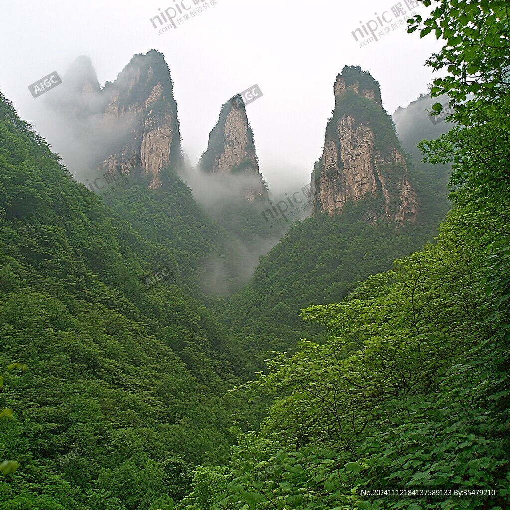 雨后神农山