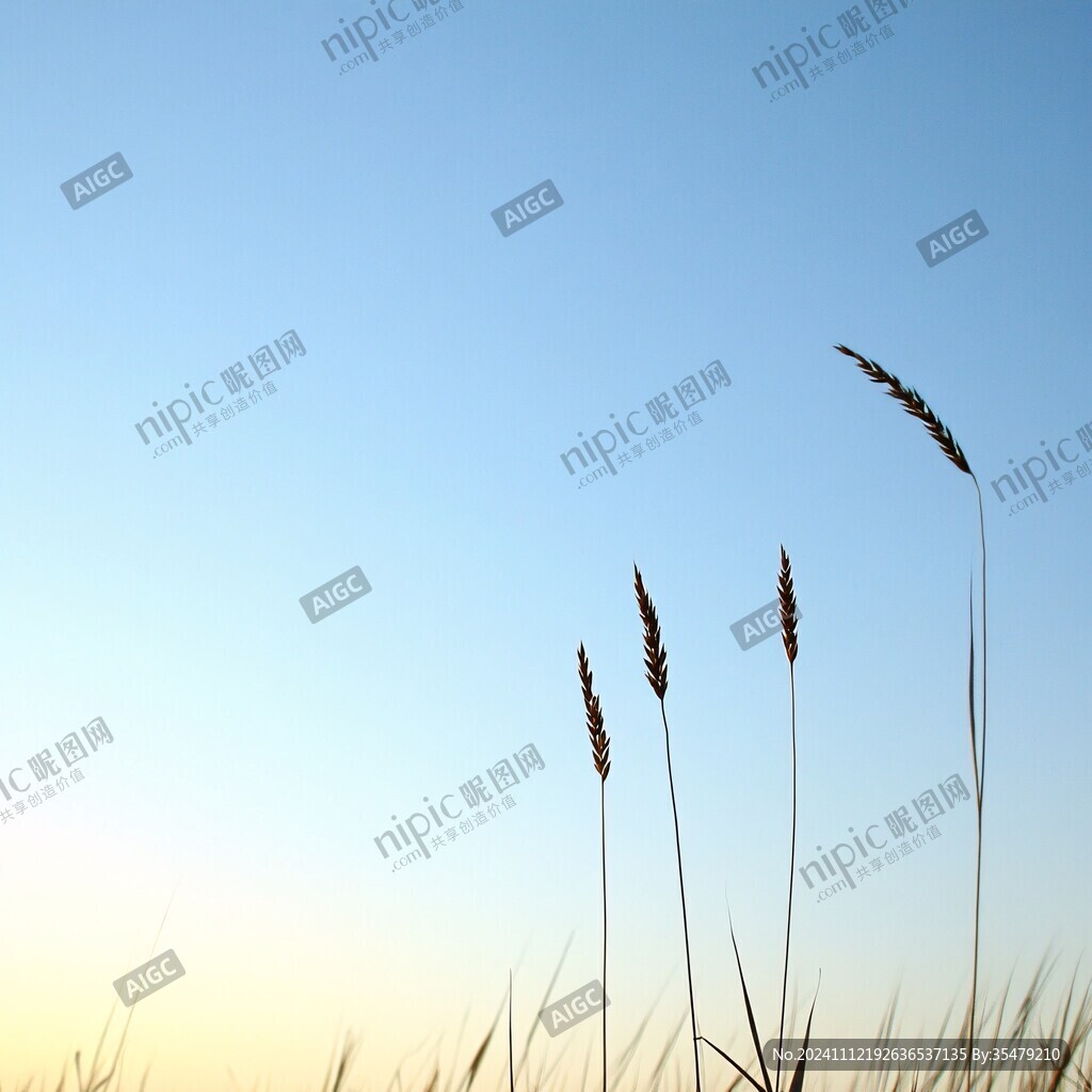 狗尾草暖色背景