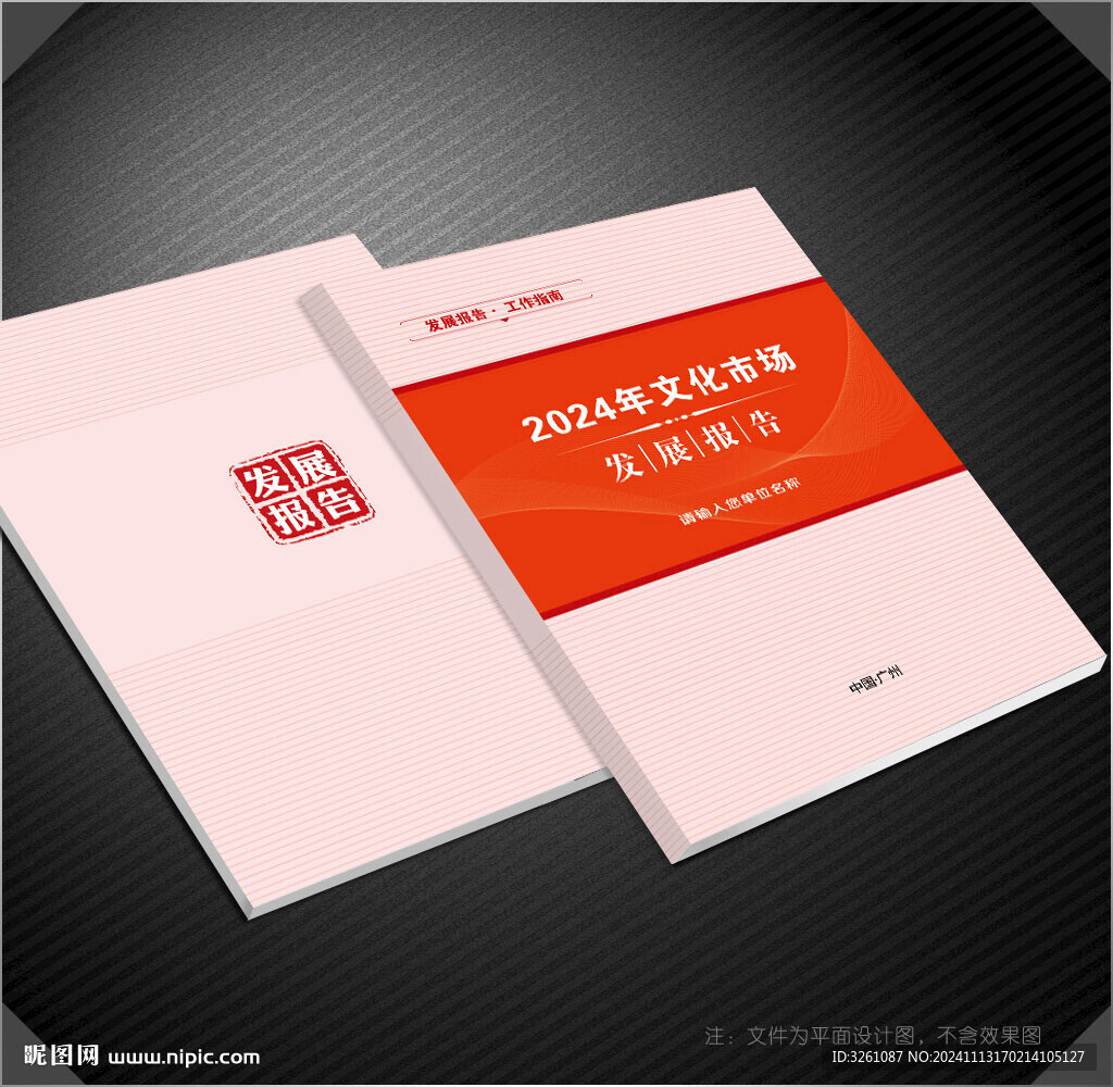 发展报告封面