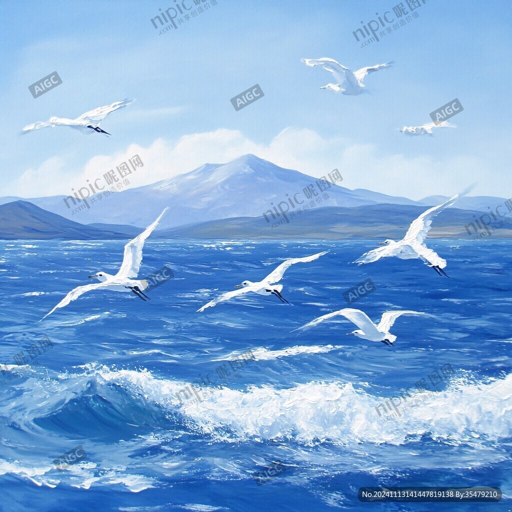 海鸥包装插画