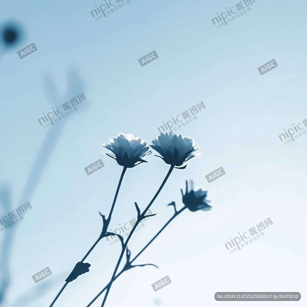 蓝色格桑花