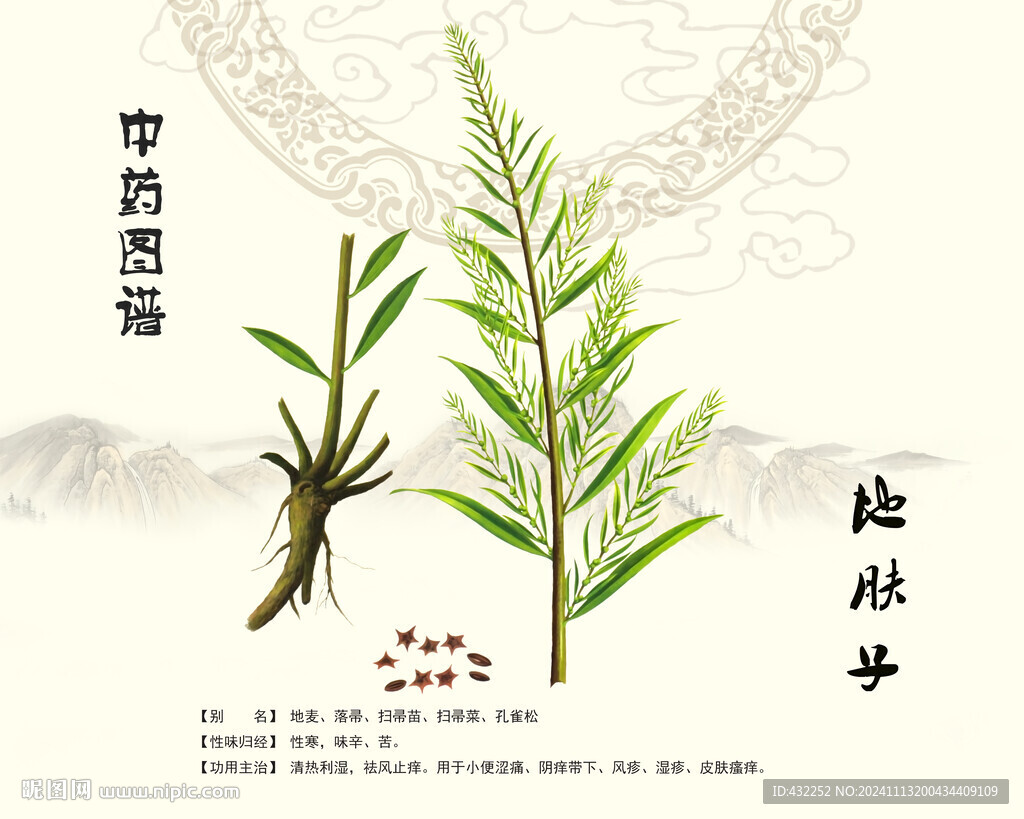 地肤子中药