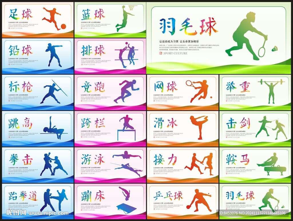 体育文化