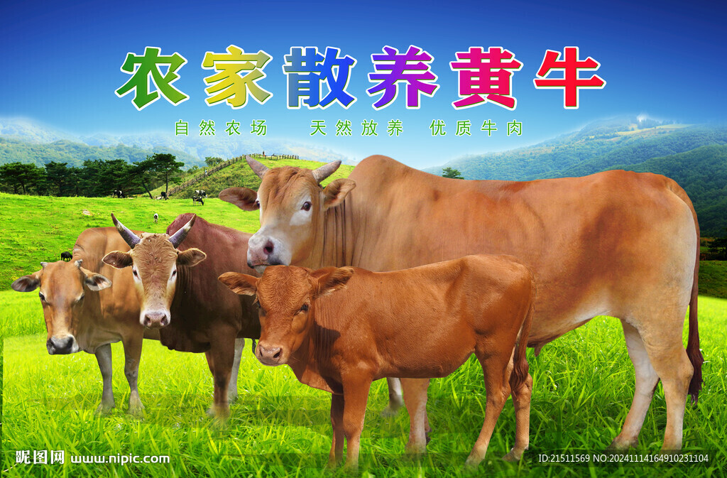 黄牛
