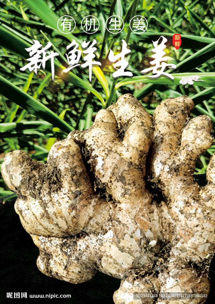 生姜