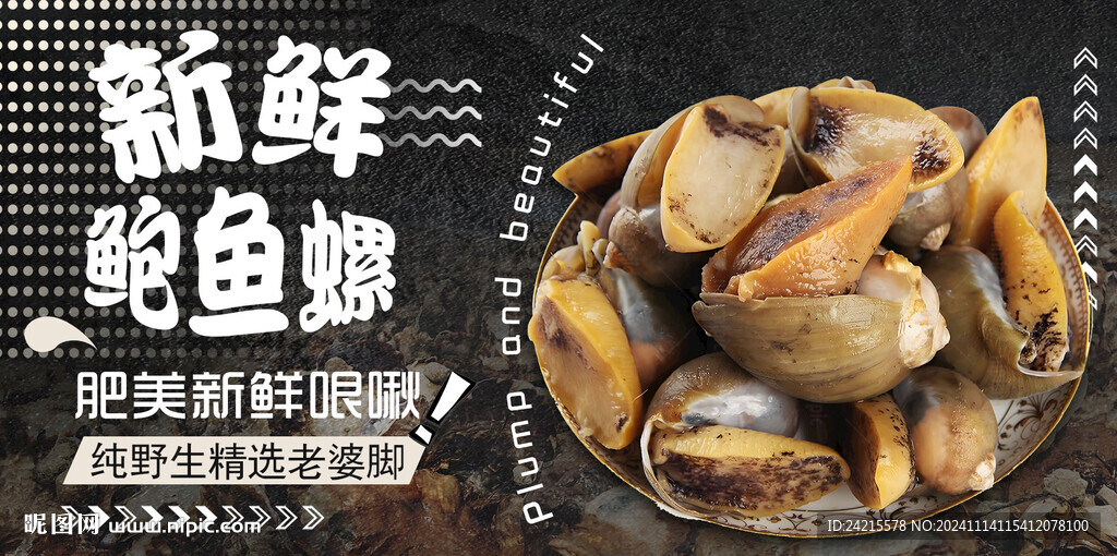 鲍鱼螺 海鲜展板