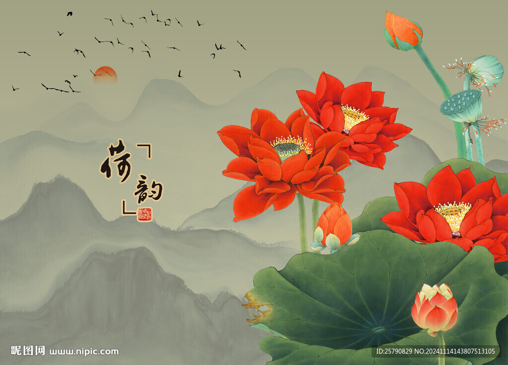 荷花