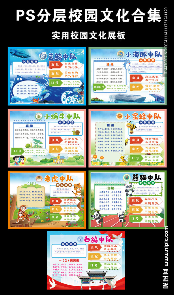 校园文化  中队文化